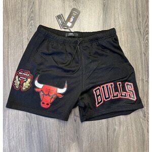 Chicago Bulls Pro Standard Embrodied Shorts